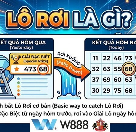 Soi Cầu Lô Rơi Là Gì? Toàn Tập Bí Kíp Bắt Lô Rơi Bất Bại Từ W888